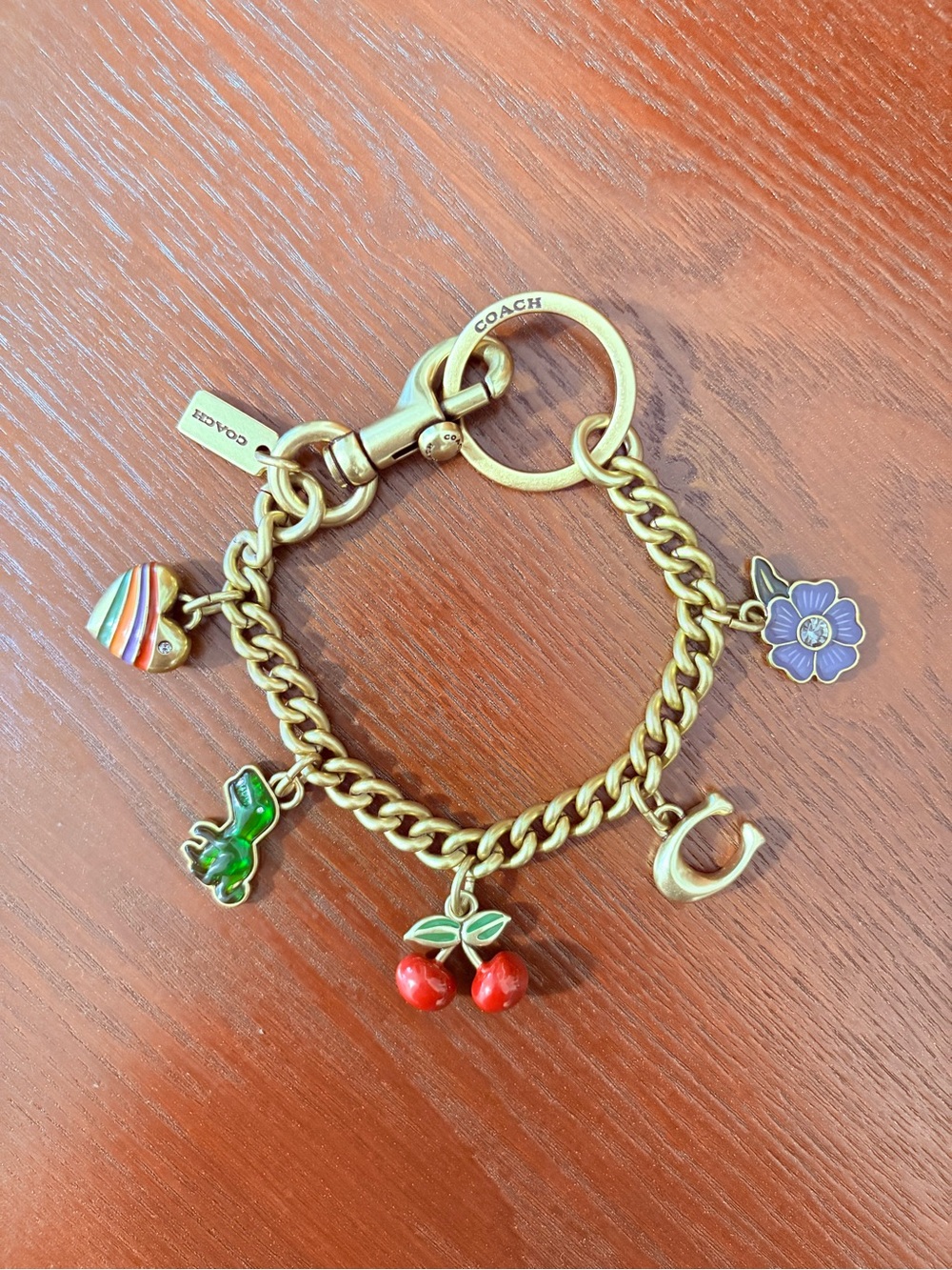 COACH Motif Chain Bag Charm